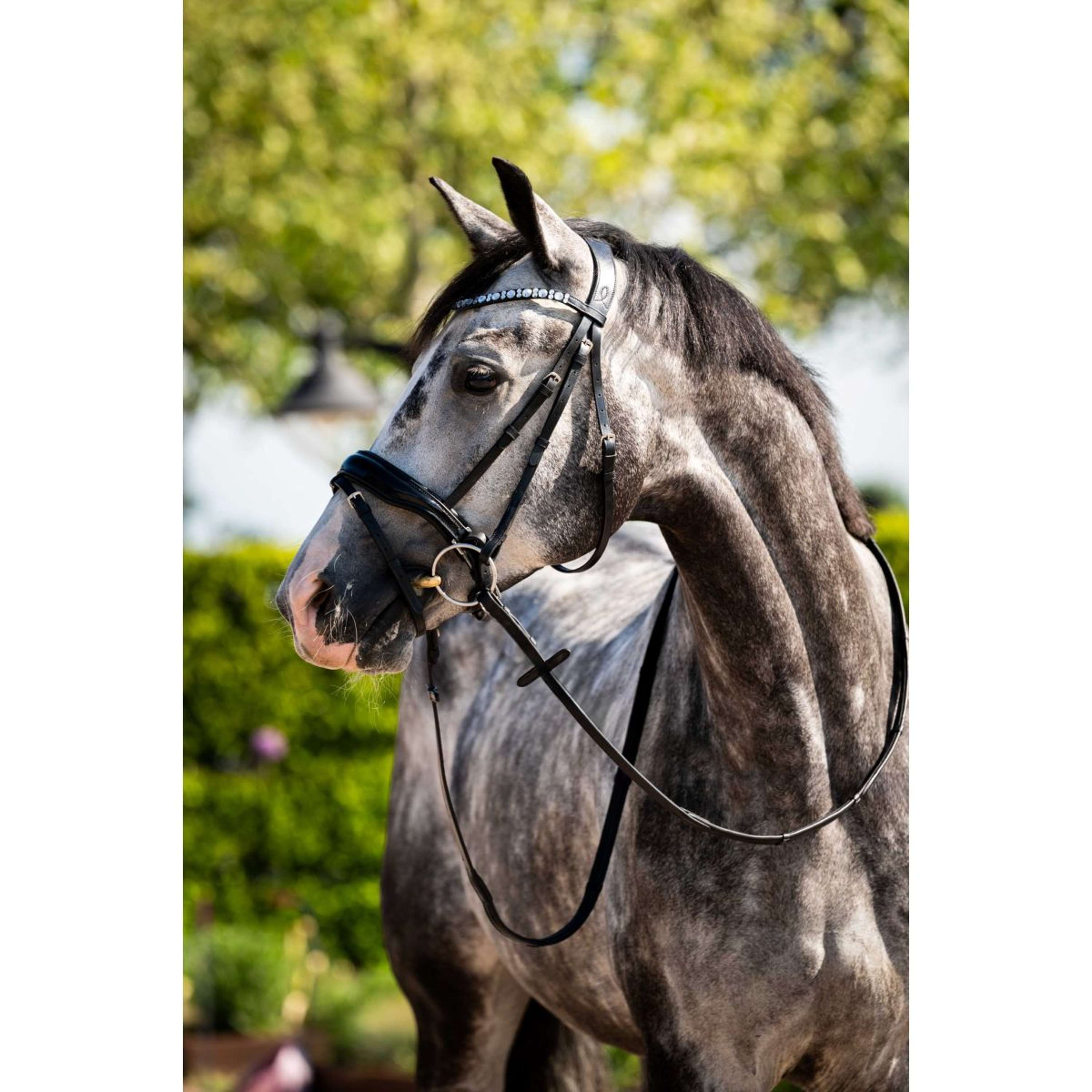 HB Ruitersport Bridle Showtime Ultimate Dream Black