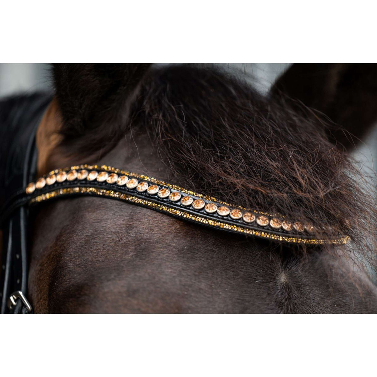 HB Showtime Bridle Golden Dreams Black/Gold Glitter