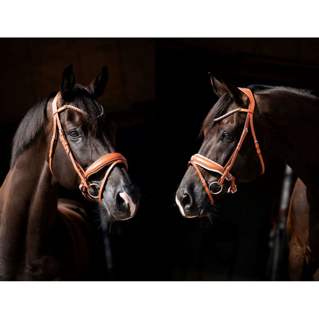 HB Showtime Bridle Chesnuth Cognac