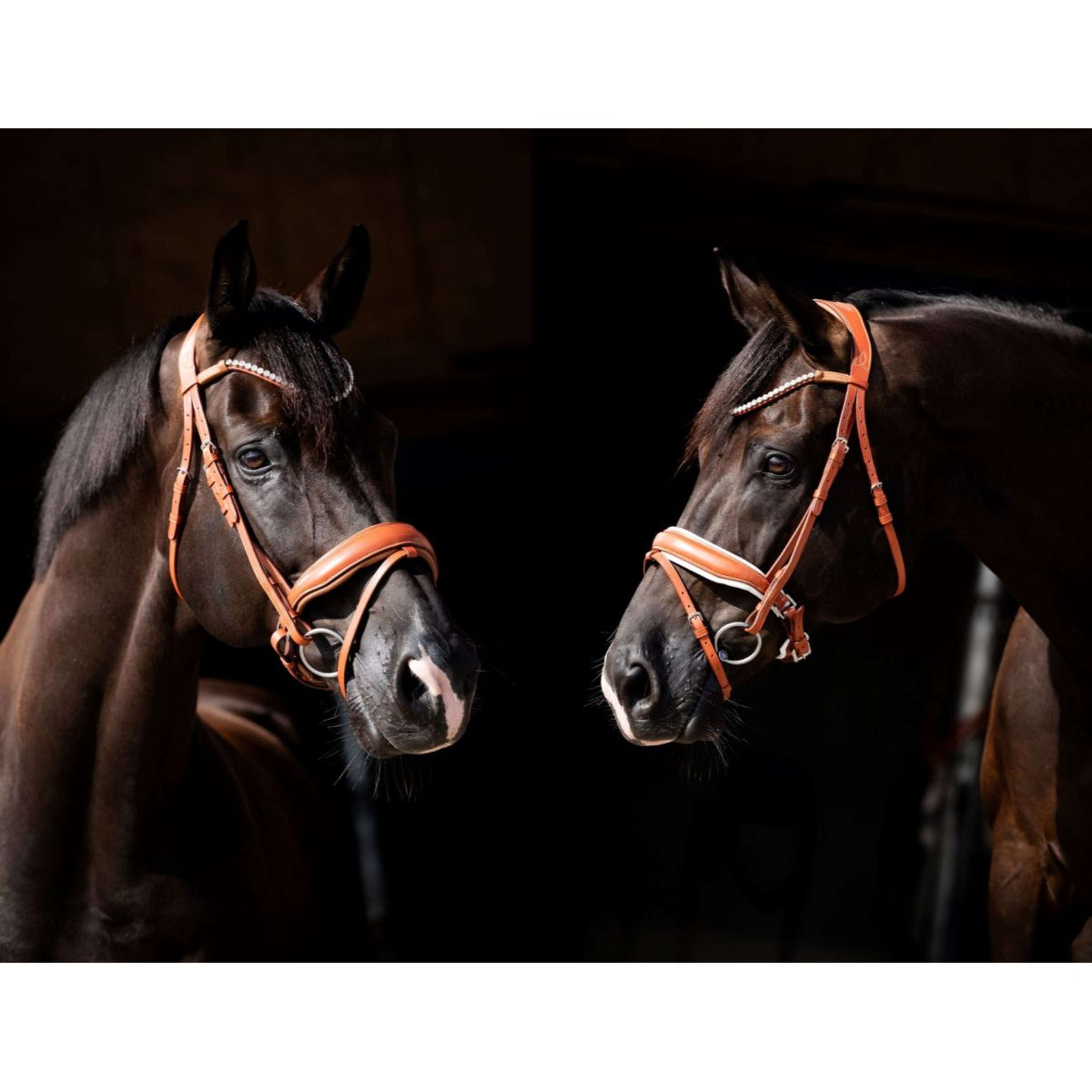 HB Showtime Bridle Chesnuth Cognac/White