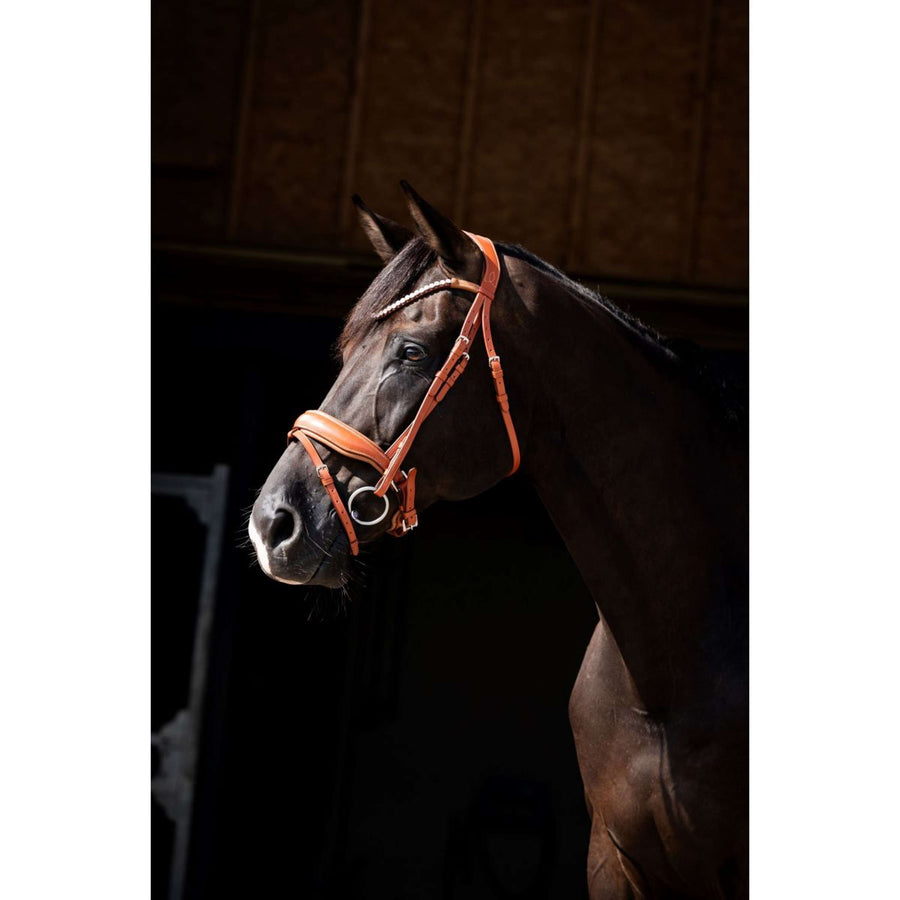HB Showtime Bridle Chesnuth Cognac
