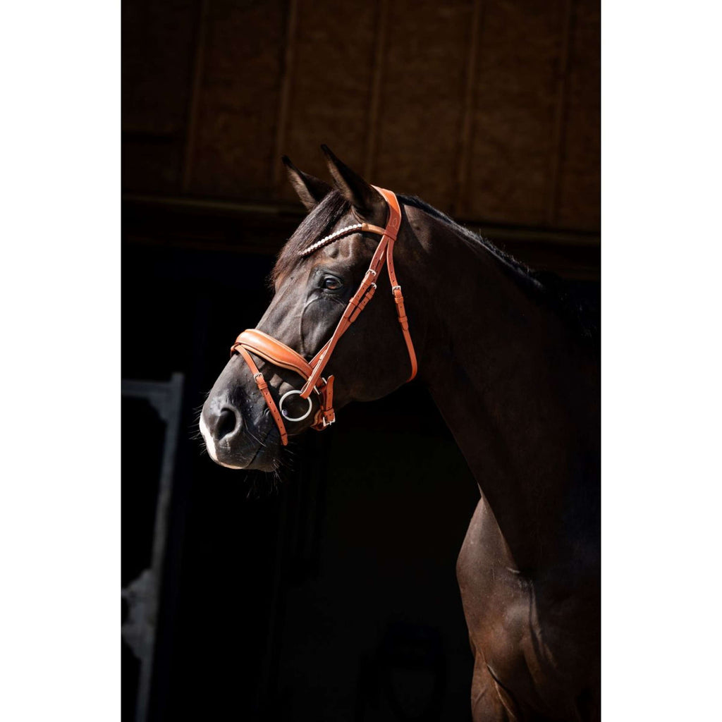 HB Showtime Bridle Chesnuth Cognac