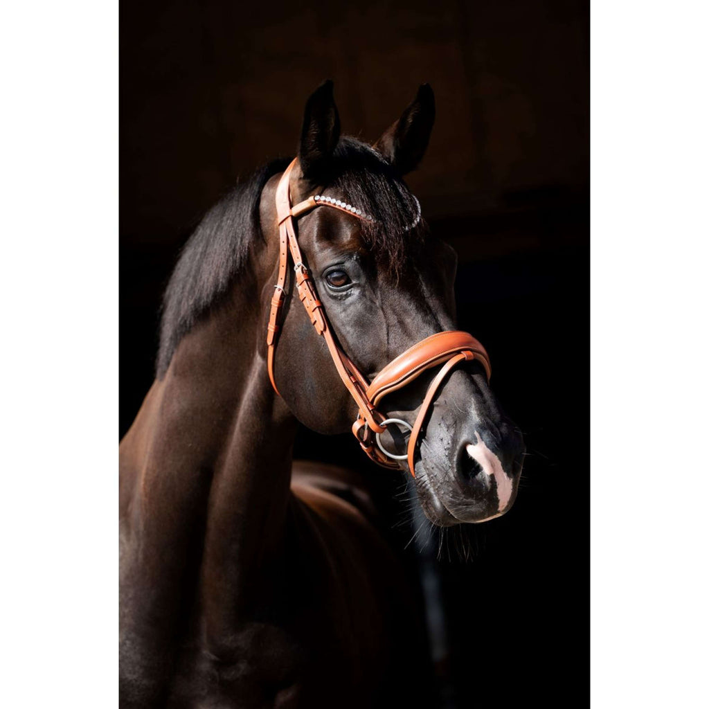 HB Showtime Bridle Chesnuth Cognac