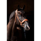 HB Showtime Bridle Chesnuth Cognac
