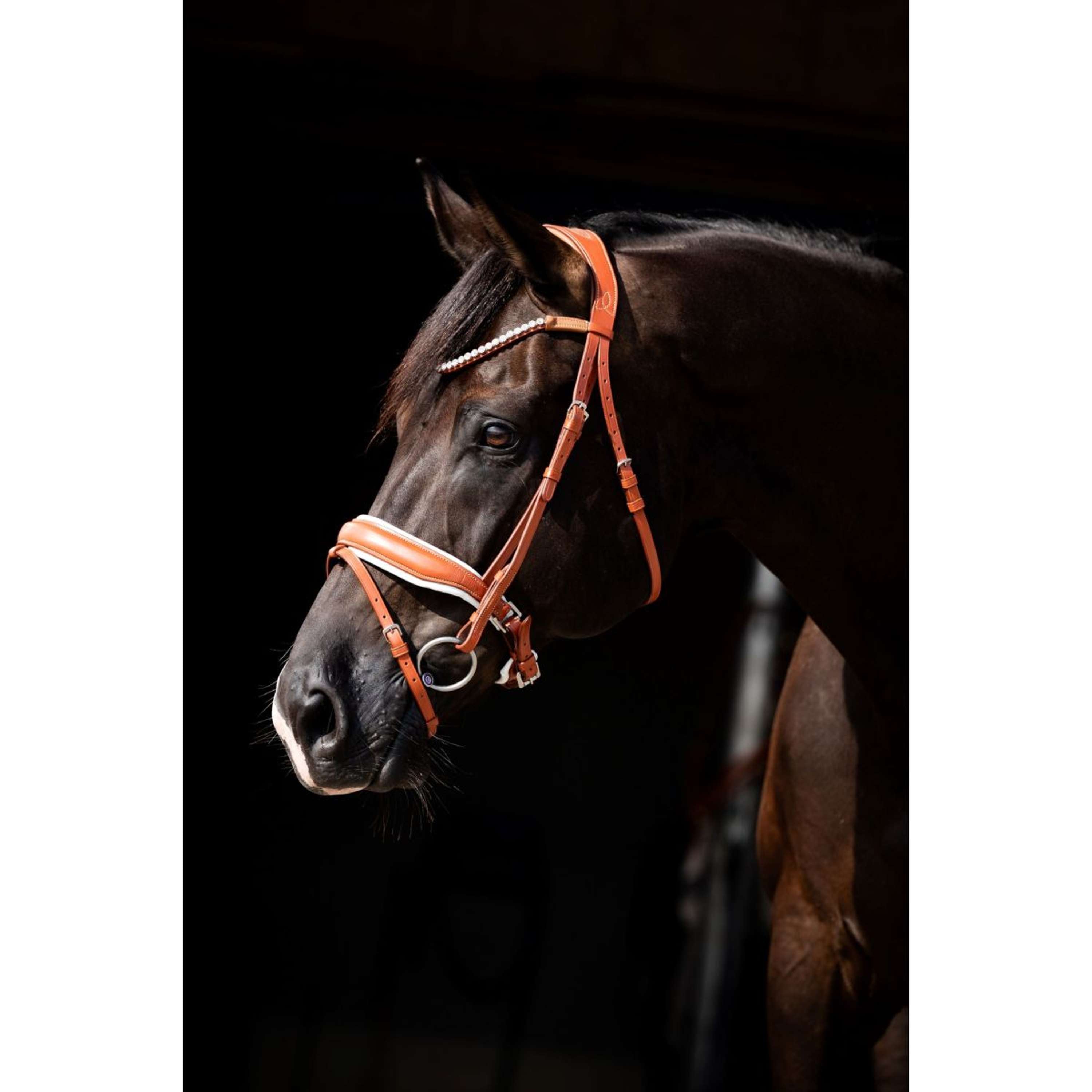 HB Showtime Bridle Chesnuth Cognac/White