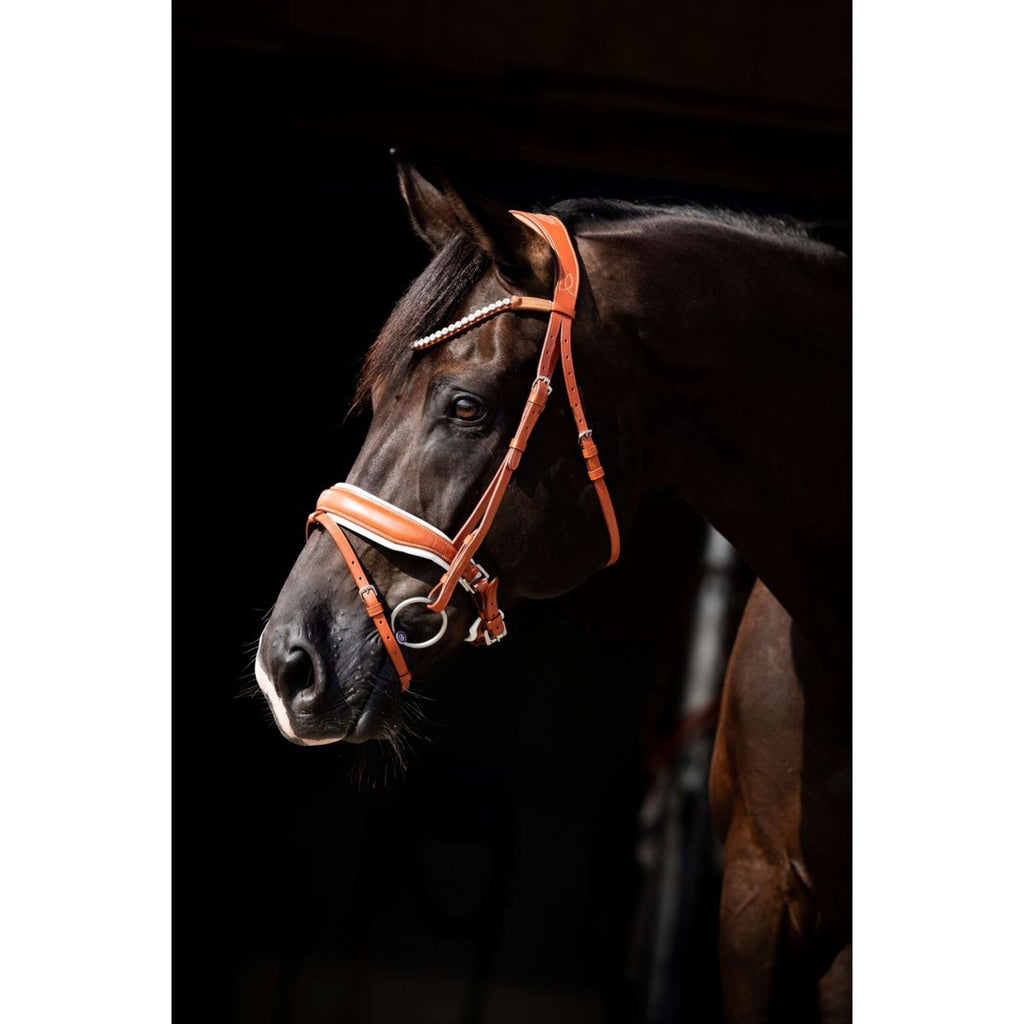 HB Showtime Bridle Chesnuth Cognac/White