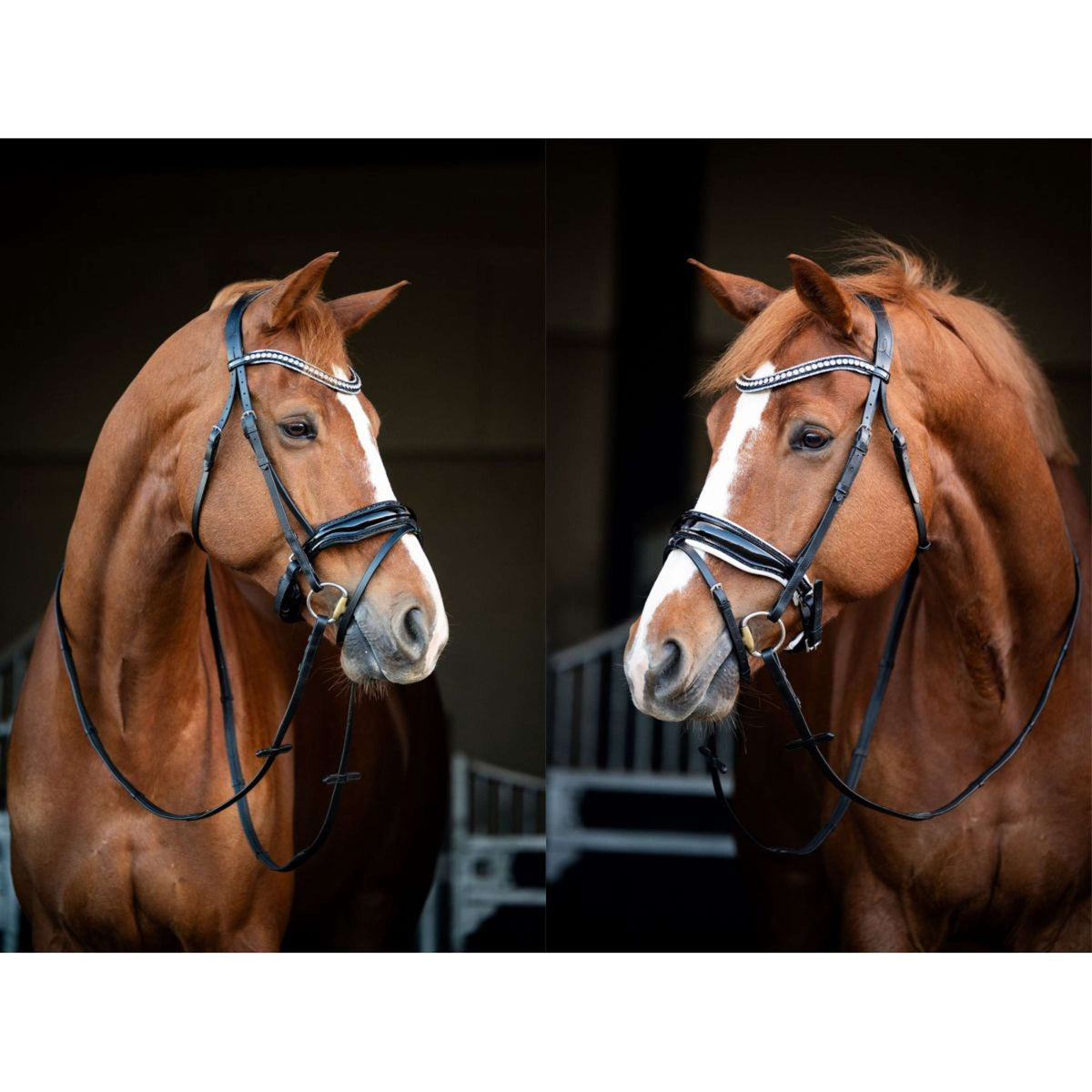 HB Showtime Bridle Snowflake Black/White