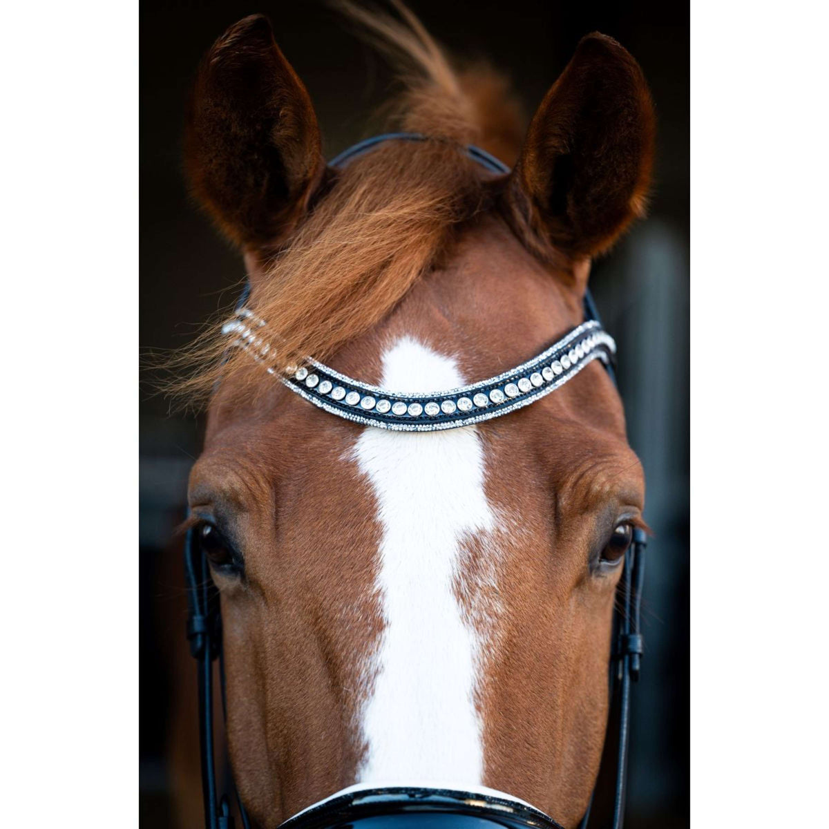 HB Showtime Bridle Snowflake Black/White