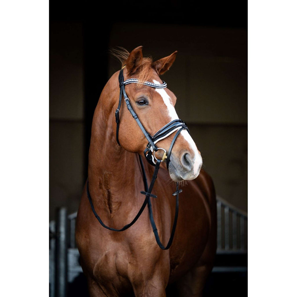 HB Showtime Bridle Snowflake Black/White