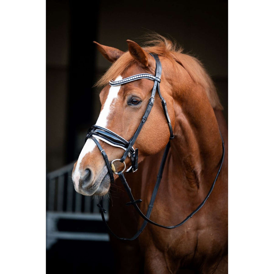 HB Showtime Bridle Snowflake Black/White