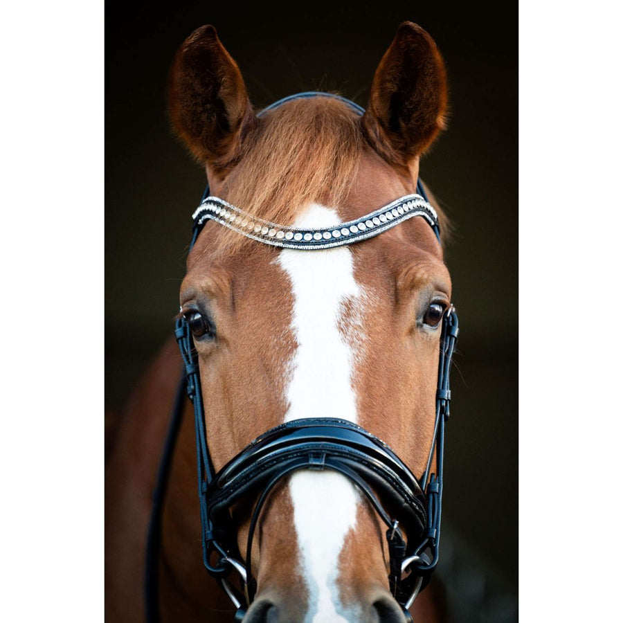 HB Showtime Bridle Snowflake Black