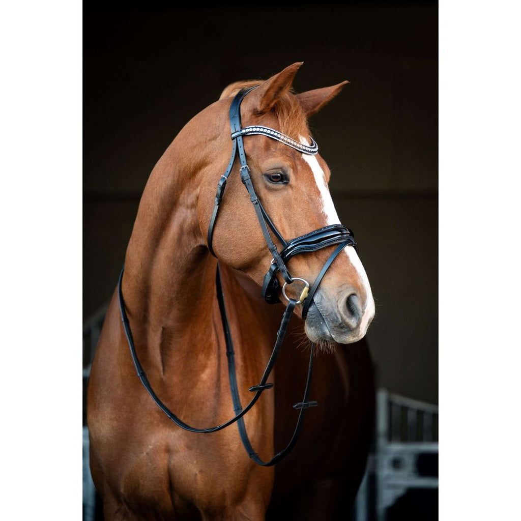 HB Showtime Bridle Snowflake Black