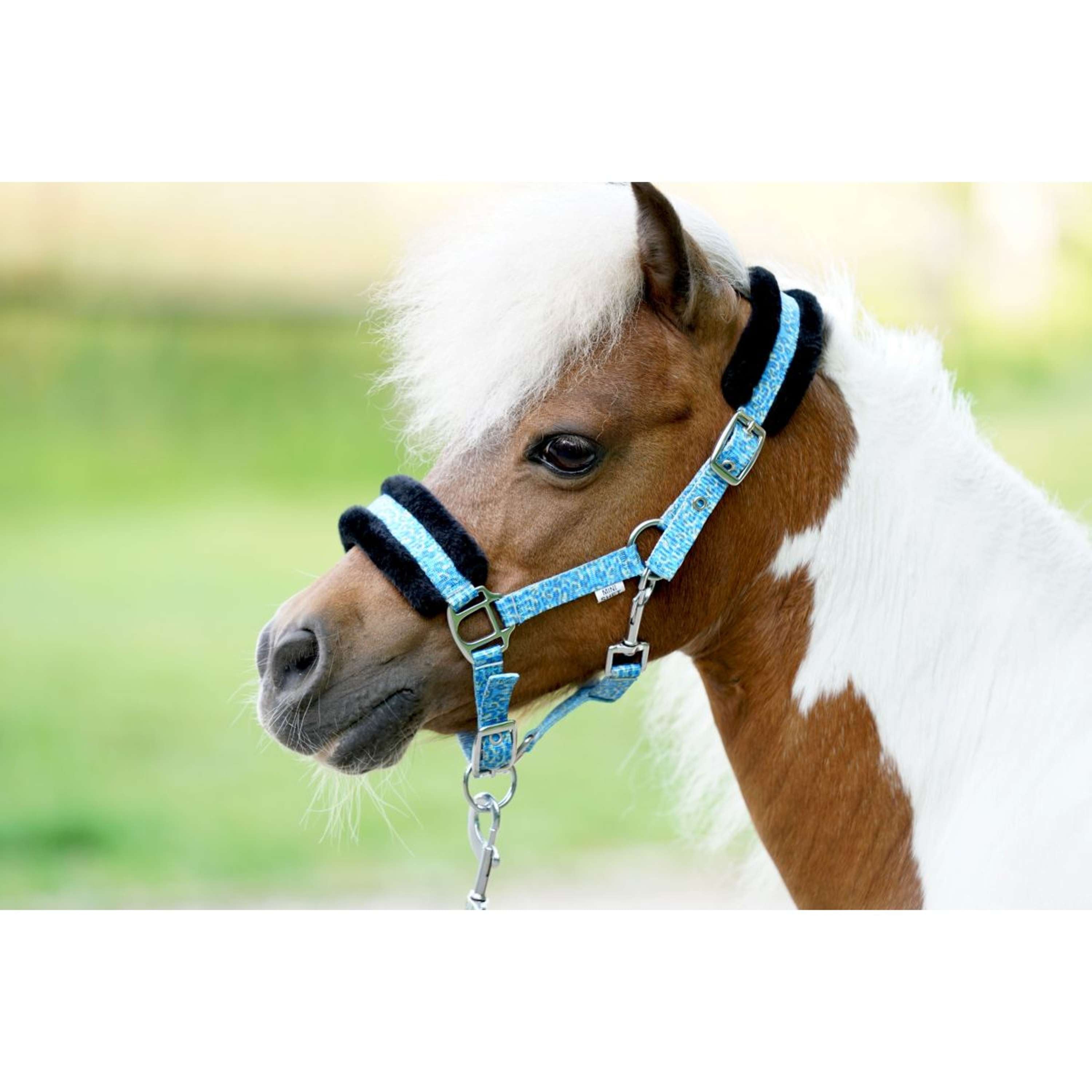 HB Halter Sunny Flower Blue