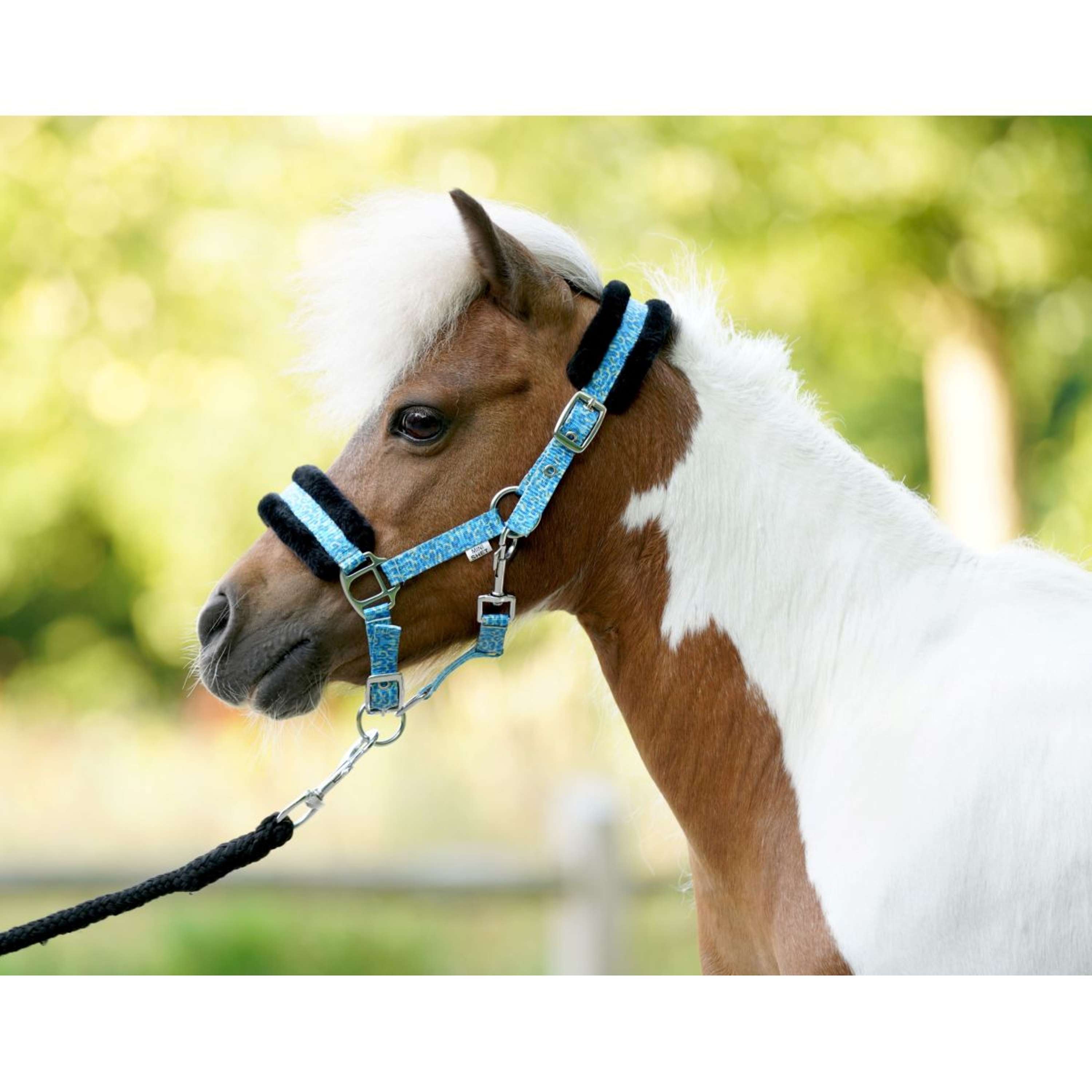 HB Halter Sunny Flower Blue