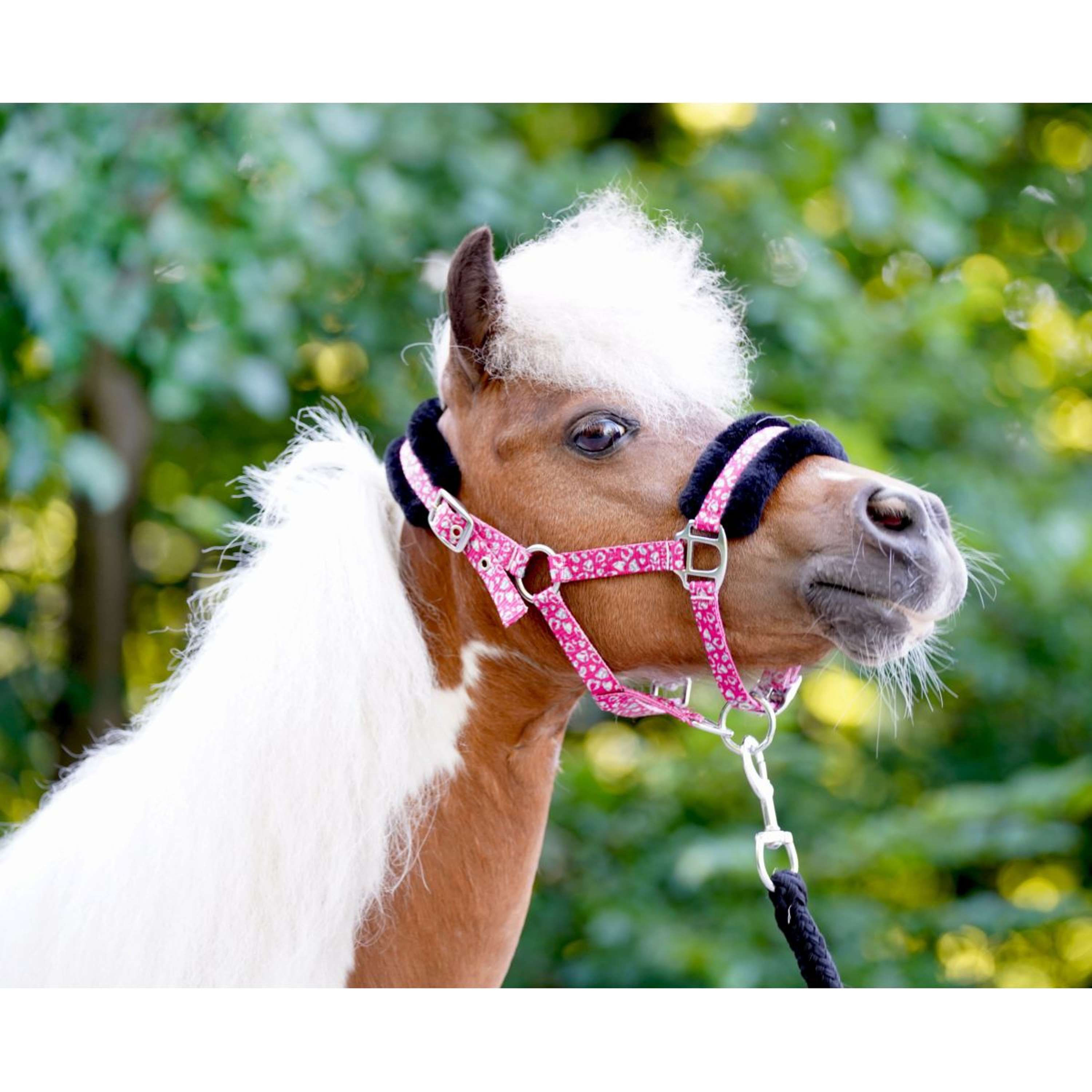 HB Halter Sunny Flower Fuchsia