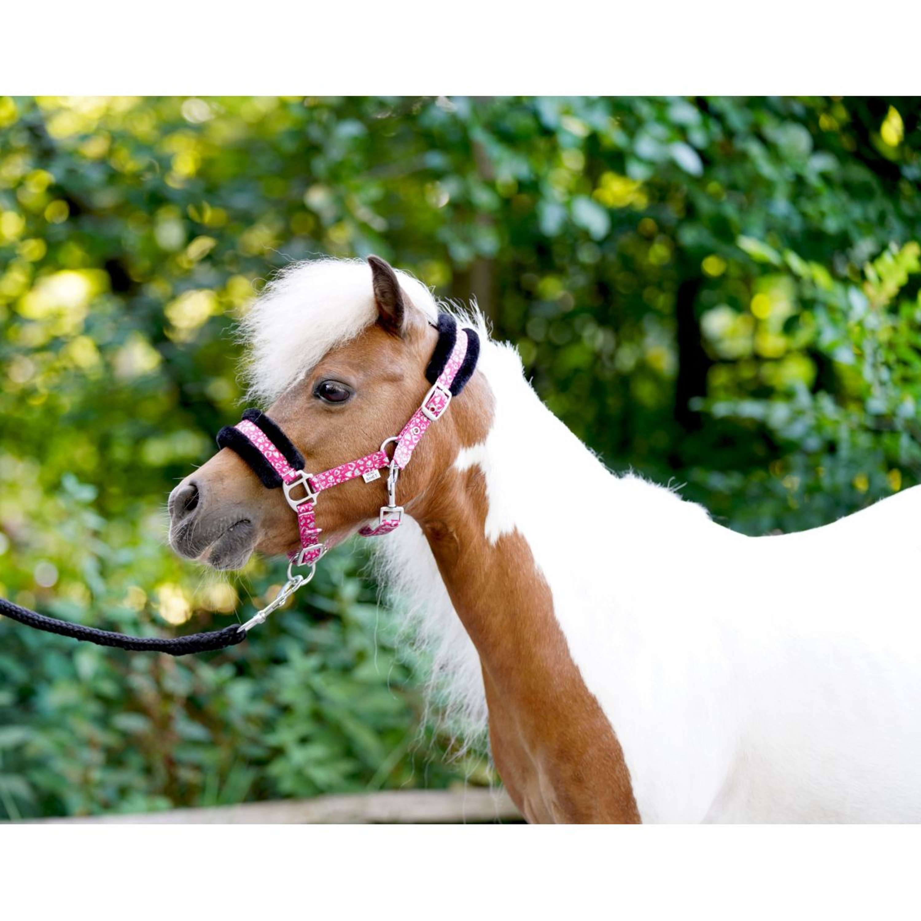 HB Halter Sunny Flower Fuchsia