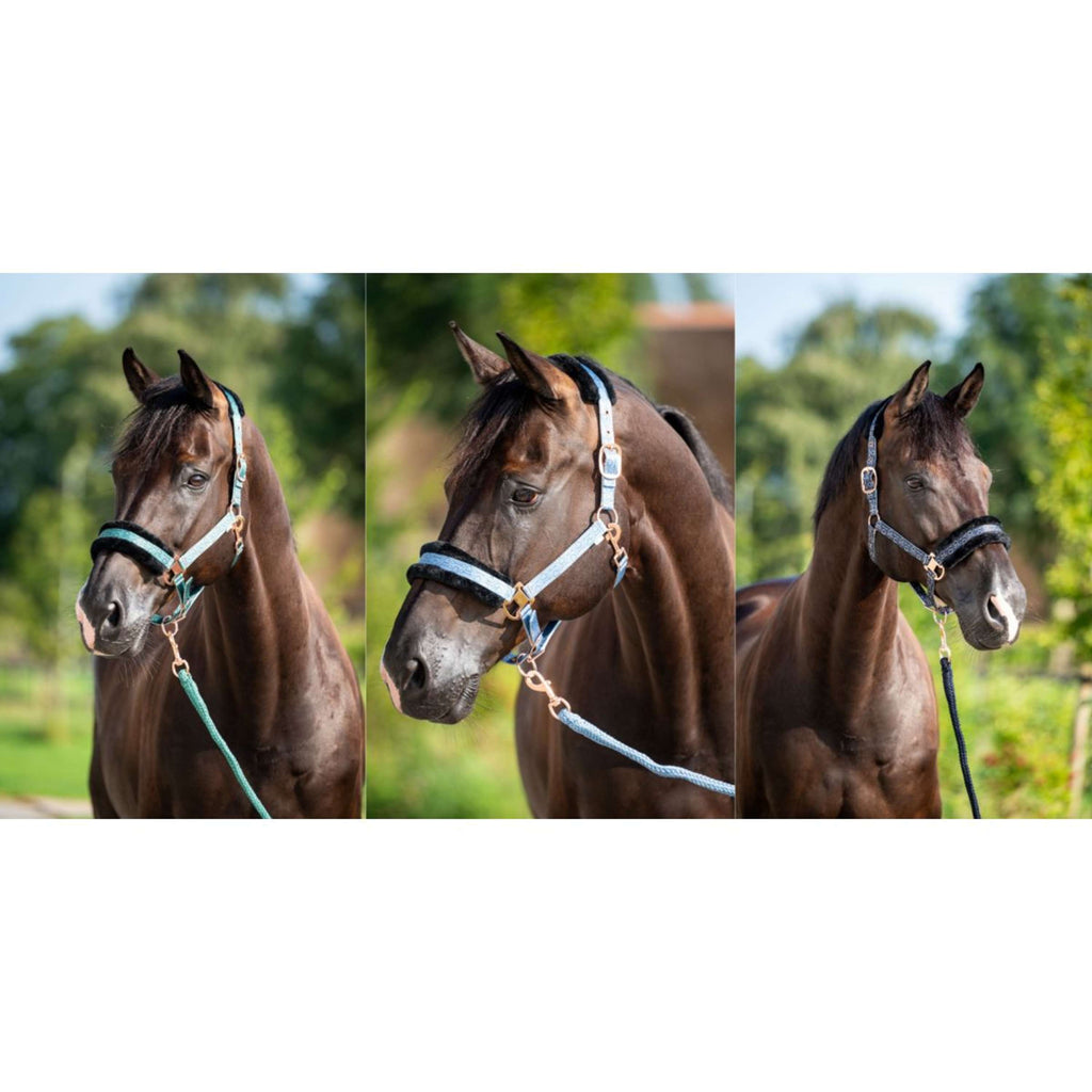 HB Halter Showtime Pioneer Ice blue