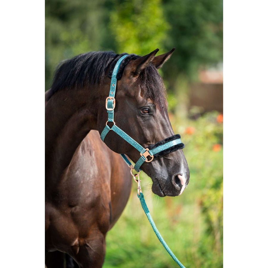 HB Halter Showtime Pioneer Forest Green