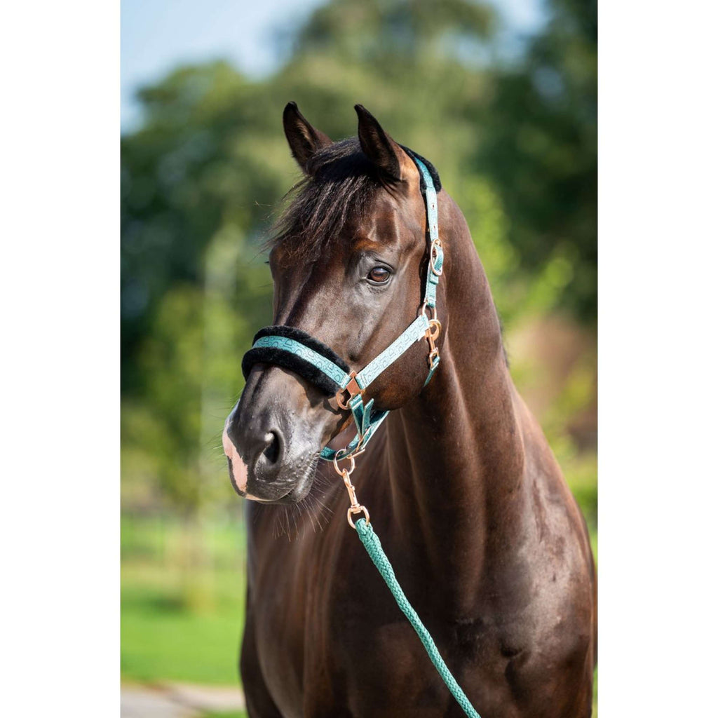HB Halter Showtime Pioneer Forest Green
