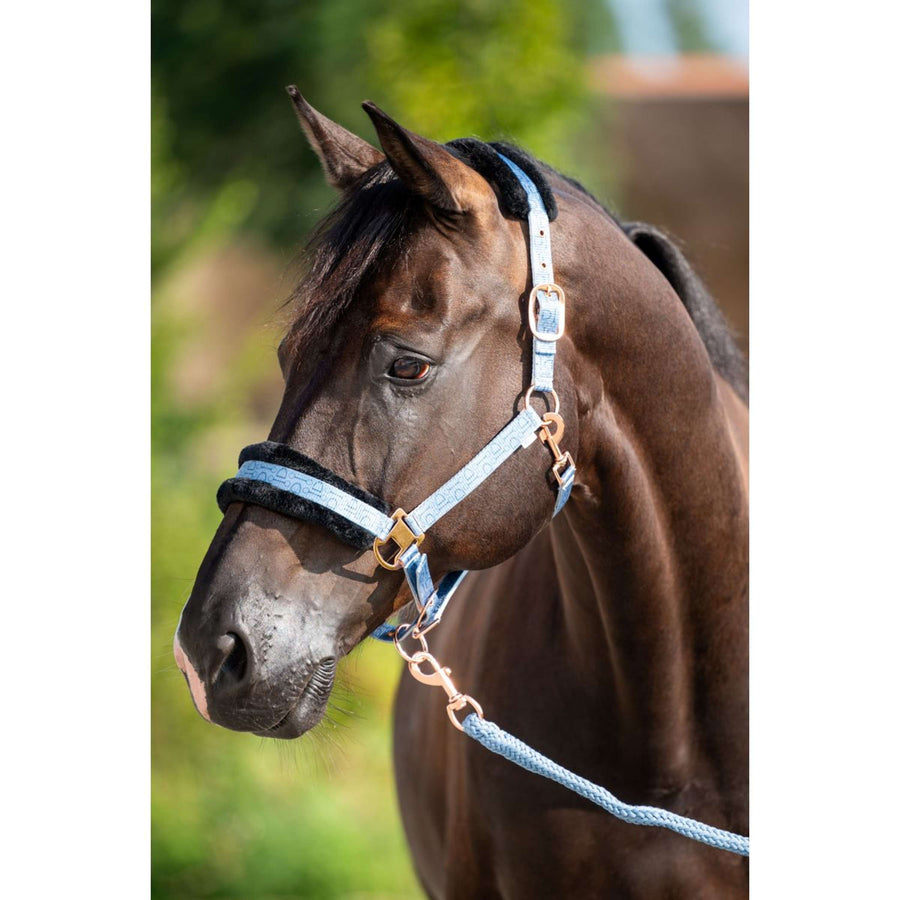 HB Halter Showtime Pioneer Ice blue