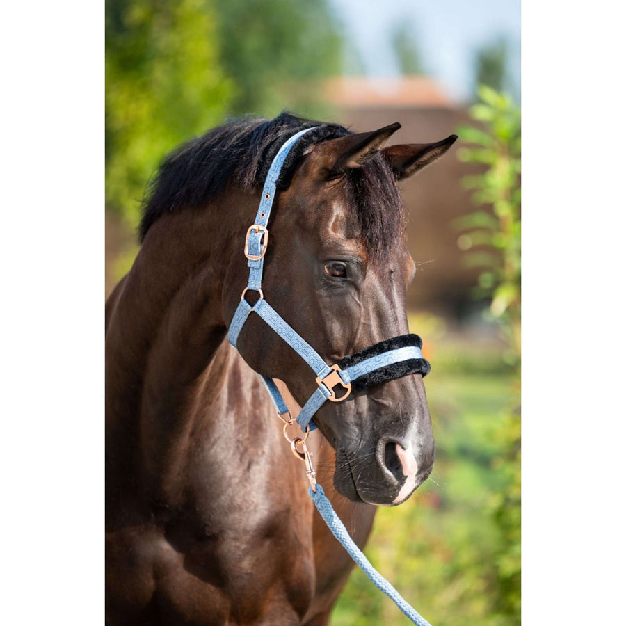 HB Halter Showtime Pioneer Ice blue