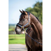 HB Halter Showtime Pioneer Black