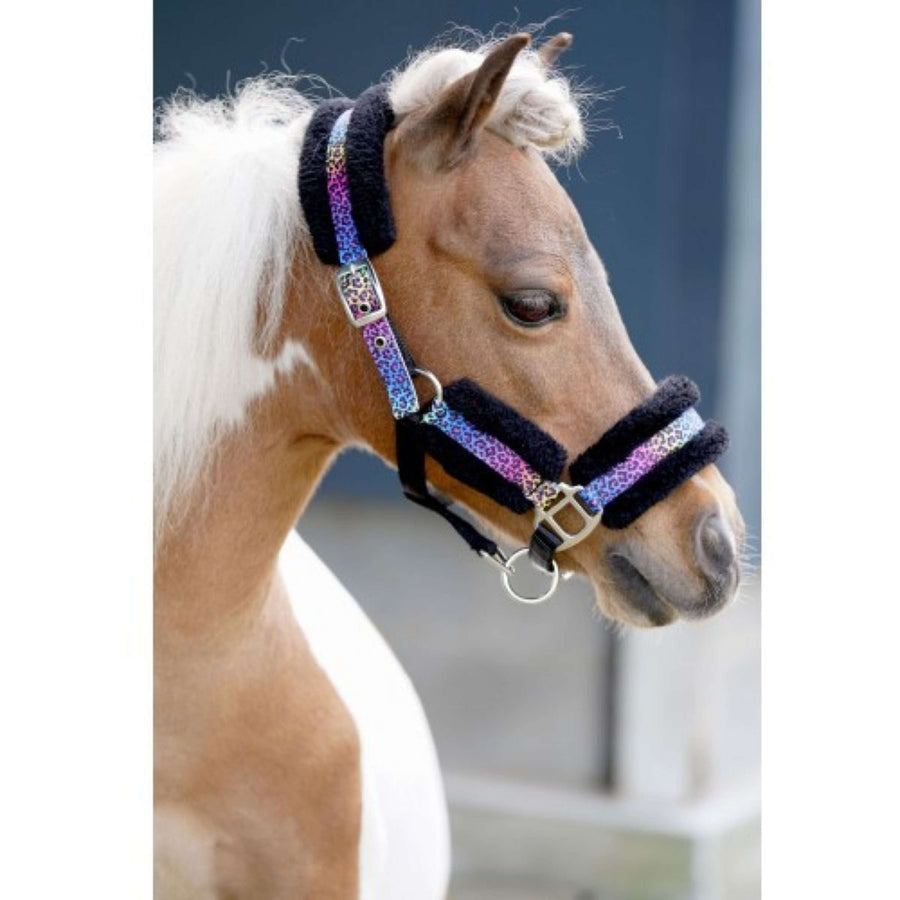 HB Halter Funny Little Sizes Black/Rainbow