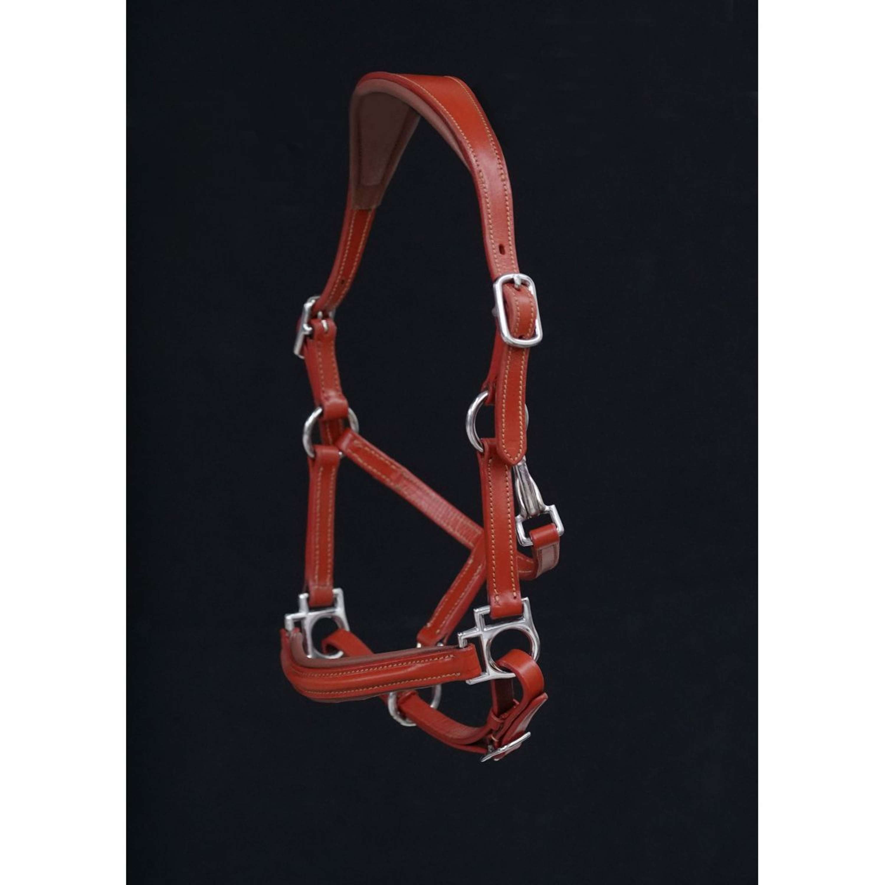HB Halter Showtime Little Sizes Cognac/Cognac