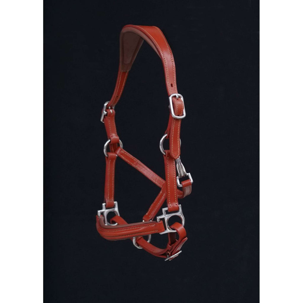HB Halter Showtime Little Sizes Cognac/Cognac
