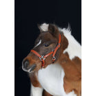 HB Halter Showtime Little Sizes Cognac/Cognac