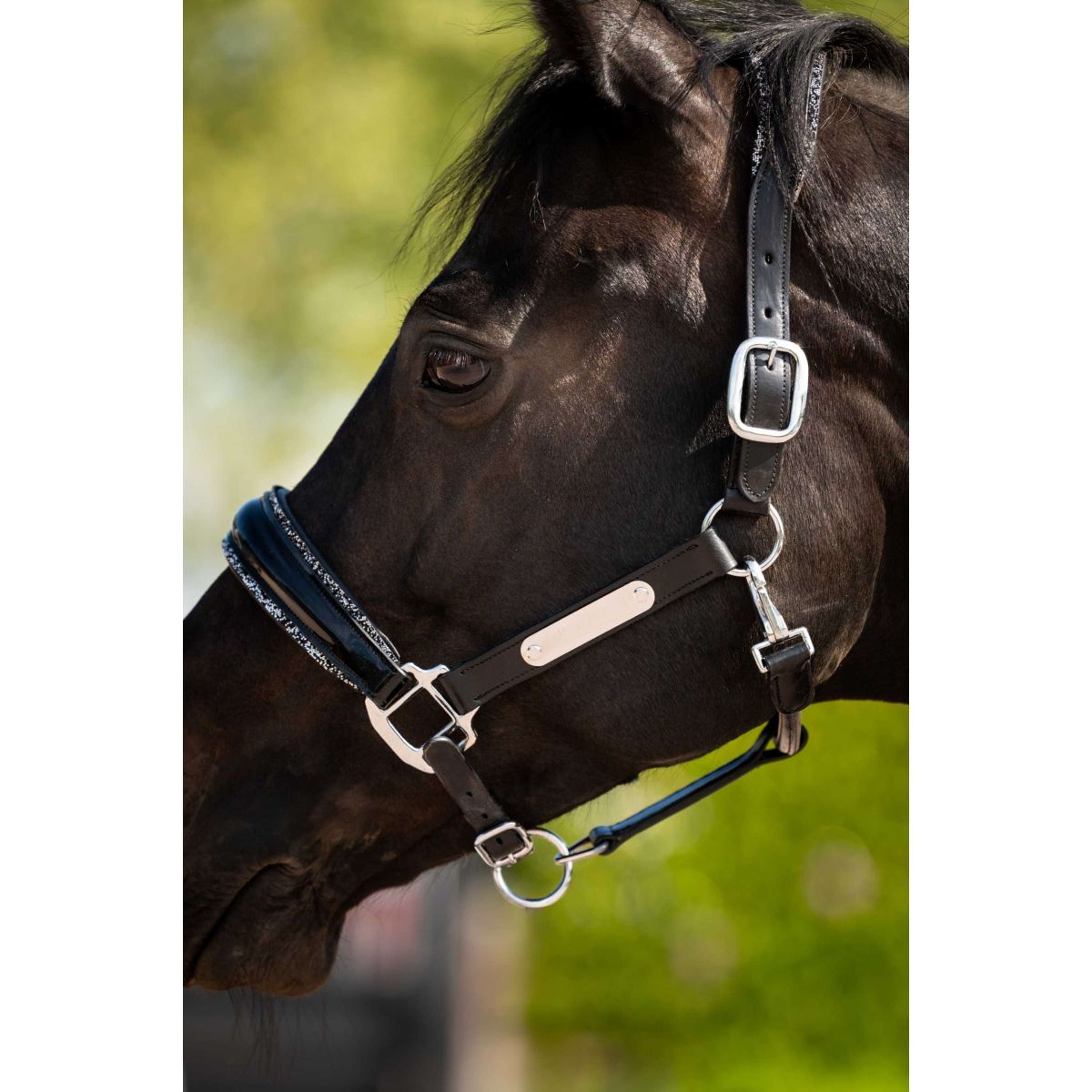 HB Ruitersport Halter Showtime Grand Slam Black/Silver