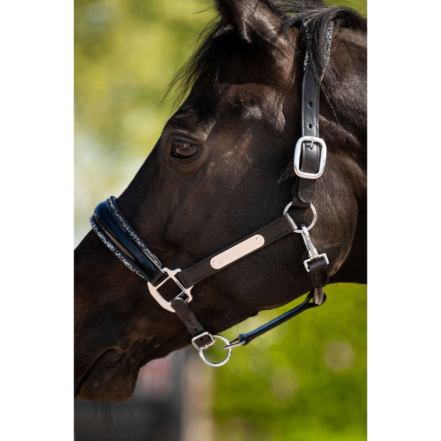 HB Ruitersport Halter Showtime Grand Slam Black/Silver