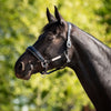 HB Ruitersport Halter Showtime Grand Slam Black/Silver