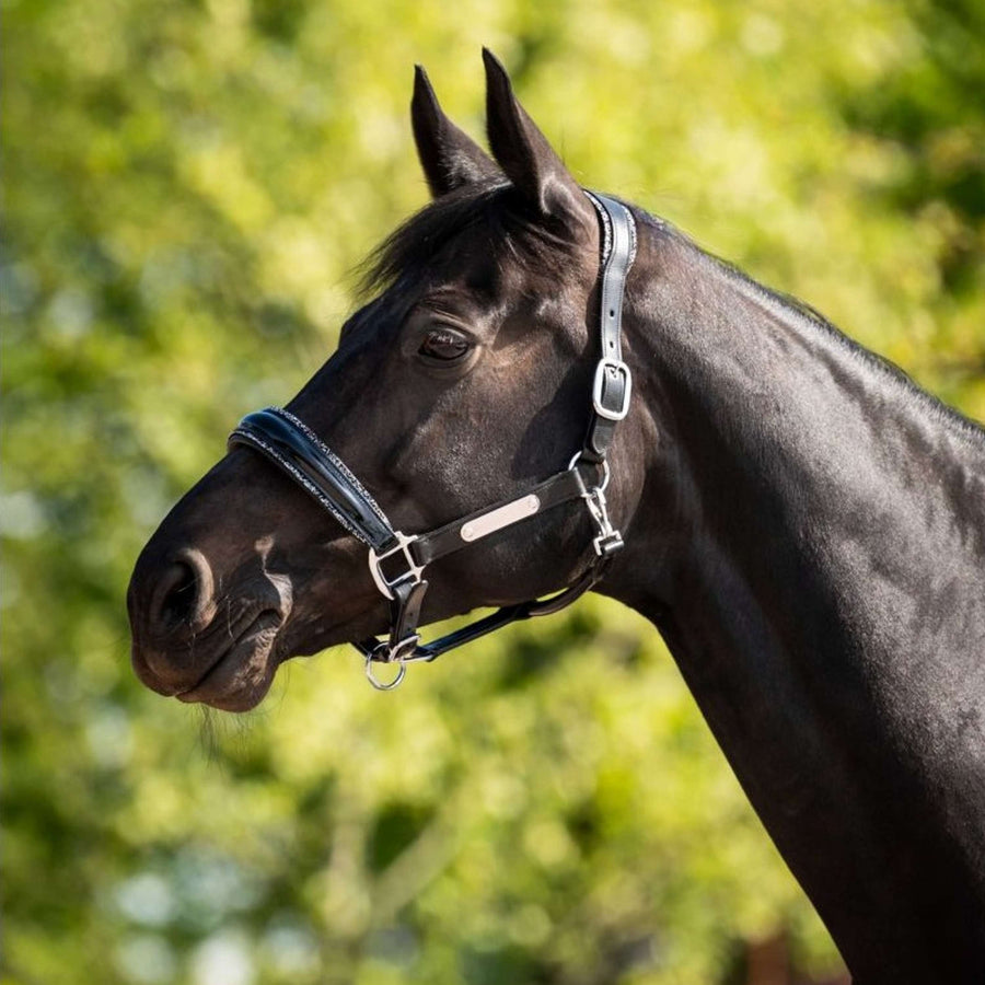 HB Ruitersport Halter Showtime Grand Slam Black/Silver