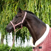 HB Head Collar Set Velvet Peach Tropical Peach