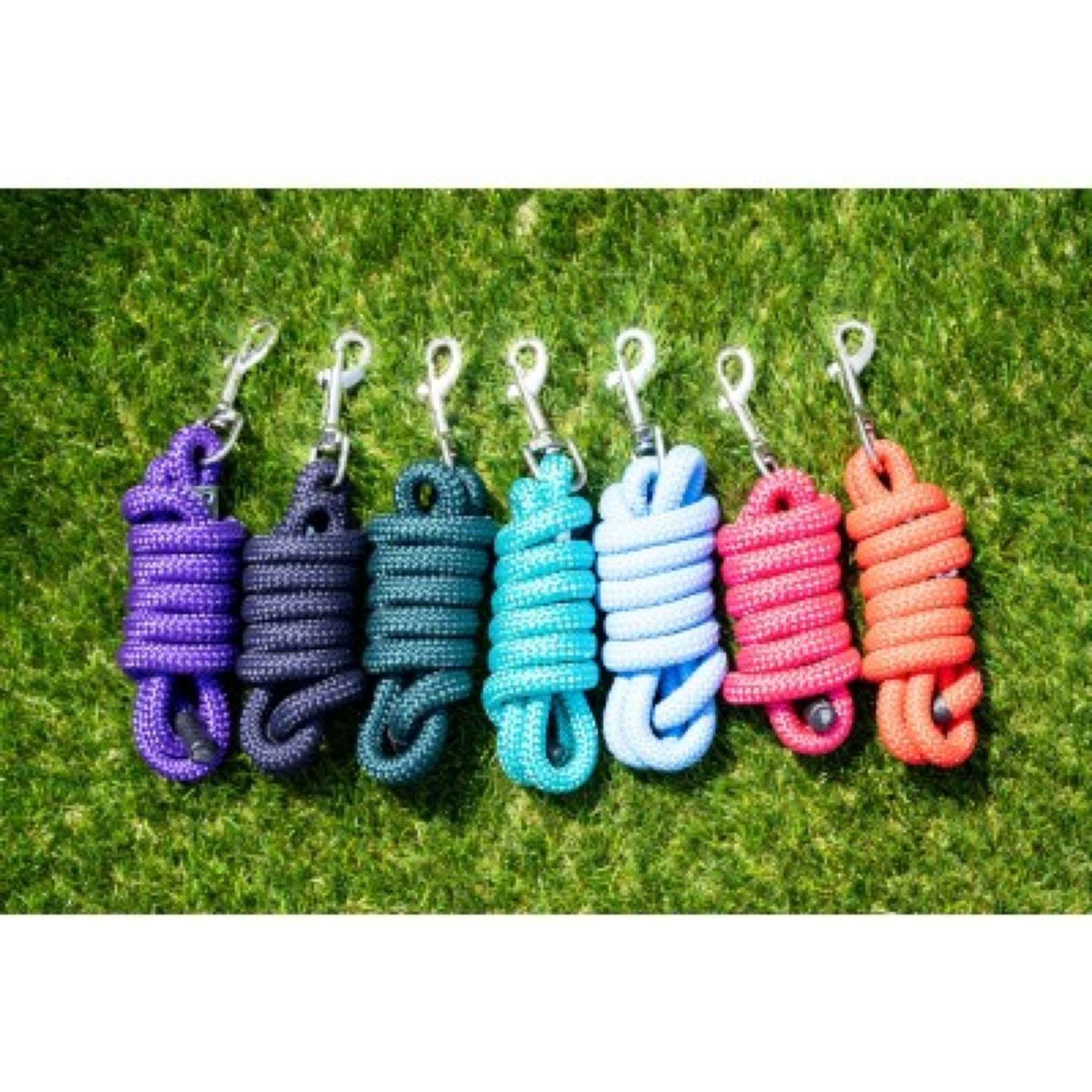 HB Lead Rope Short with Carabiner Assorti