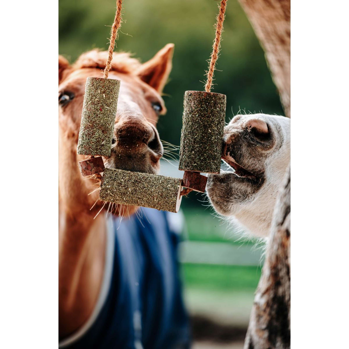 Herbie Herbal Wooden Toy Calm