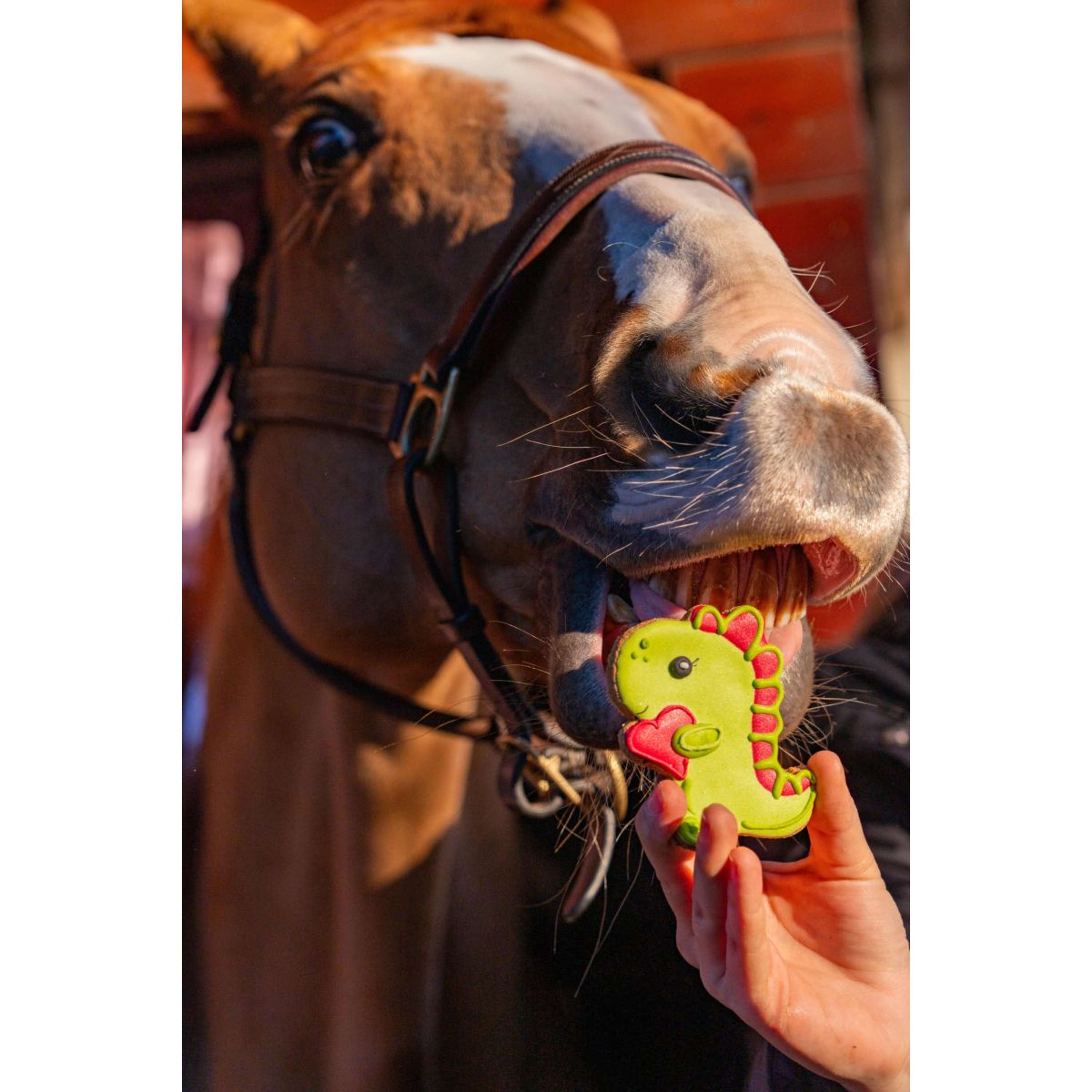 Candy Horse Love Cookie Dino