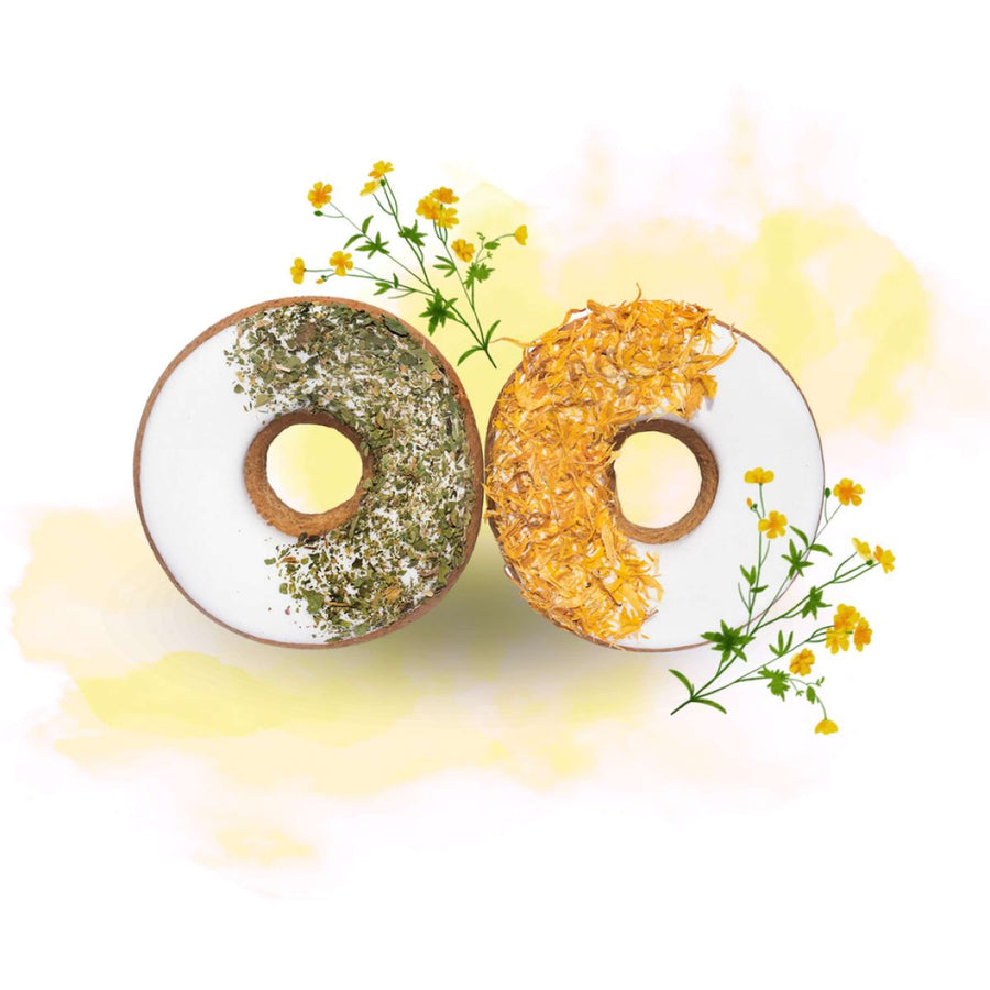 Candy Horse Donut Parsley/Calendula