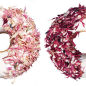 Candy Horse Donut Pink Cornflower