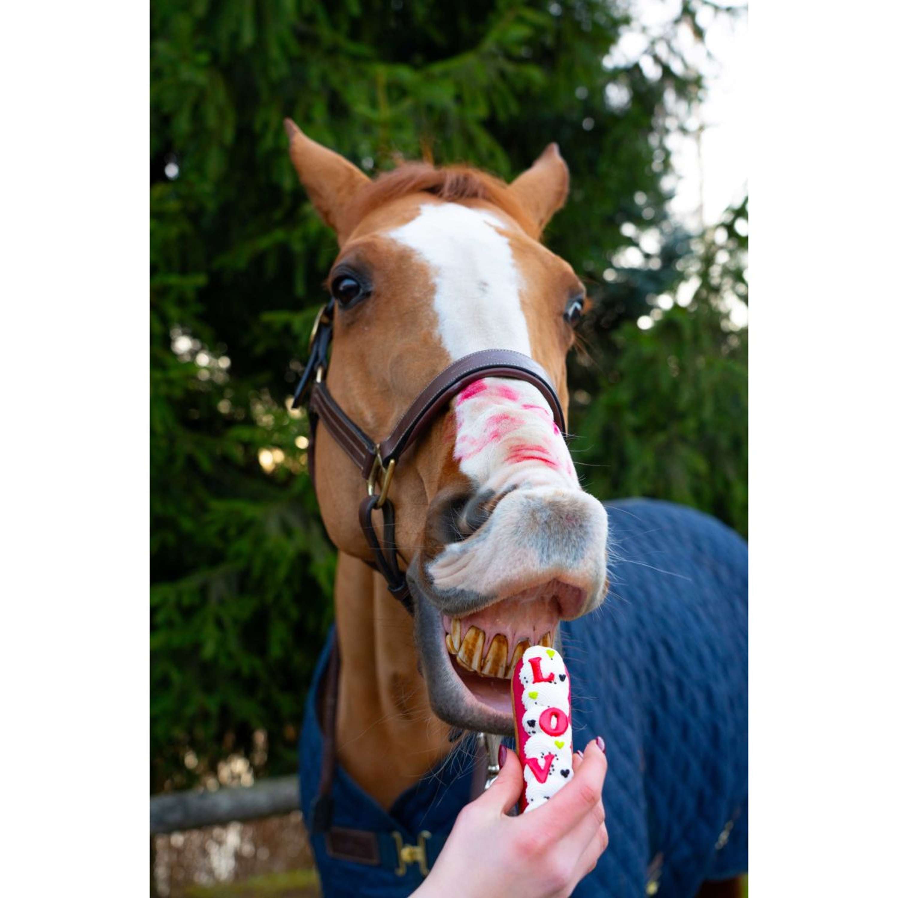 Candy Horse Love Cookies Eclair Icing