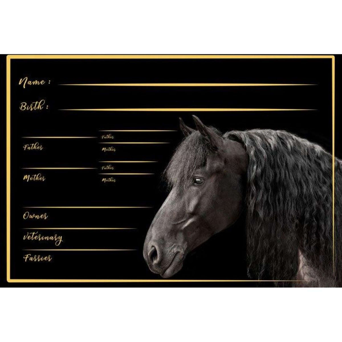 HB Stable Board Friesch Black