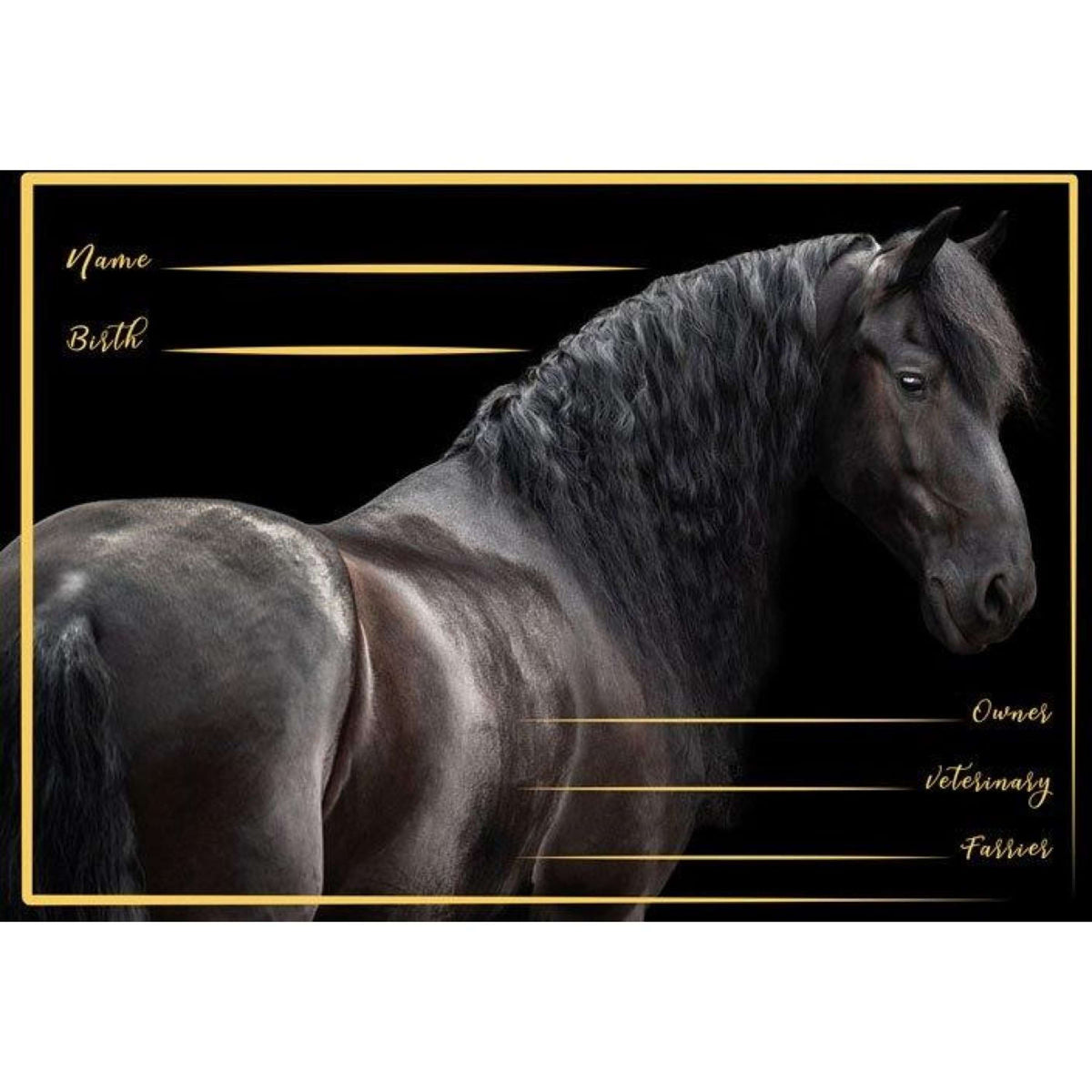 HB Stable Board Friesch Black