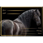 HB Stable Board Friesch Black