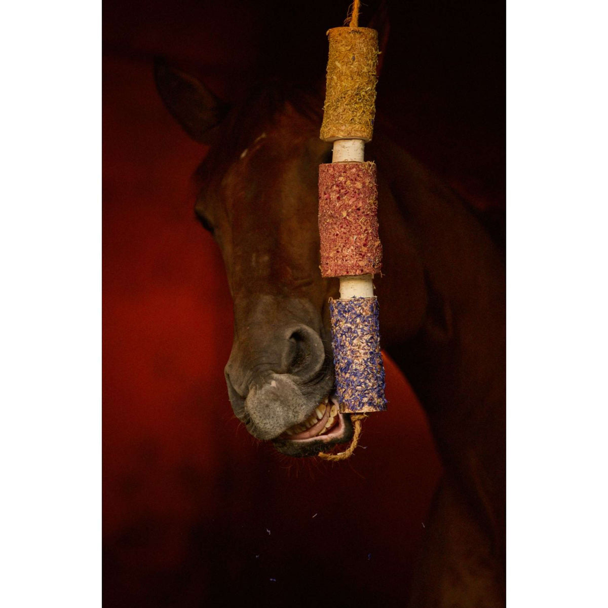 Herbie Herbal Wooden Toy Happiness