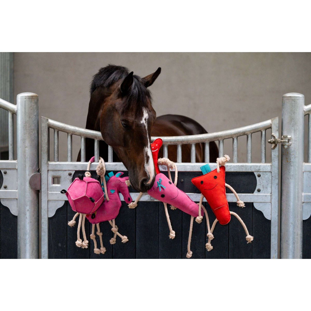 HB Horse Toy Round Carrot Pink