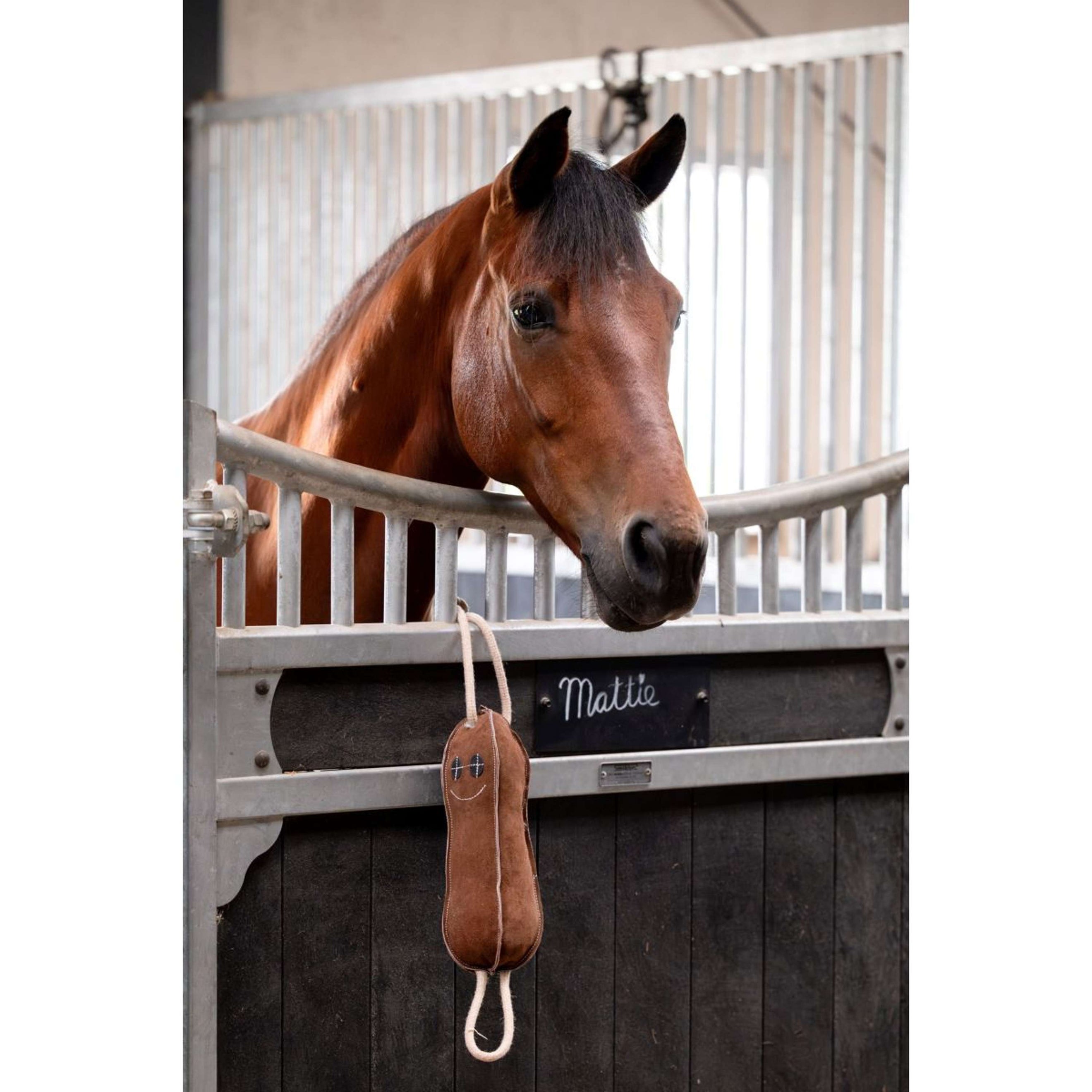 HB Showtime Toys Mr. Beanie HB Showtime Toys Mr. Beanie