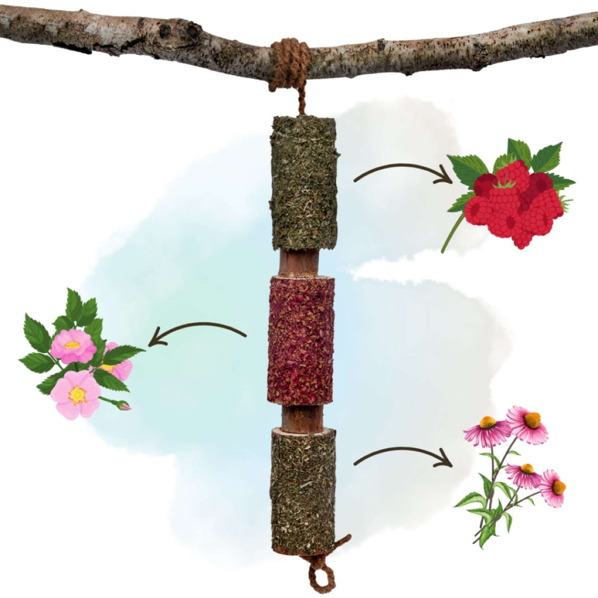 Herbie Herbal Wooden Toy Immunity