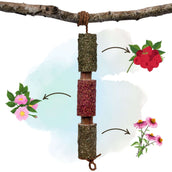 Herbie Herbal Wooden Toy Immunity