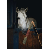 Herbie Herbal Wooden Toy Immunity